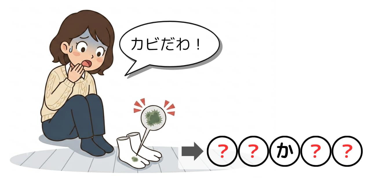 回文クイズ#6の第1問目のクイズ画像